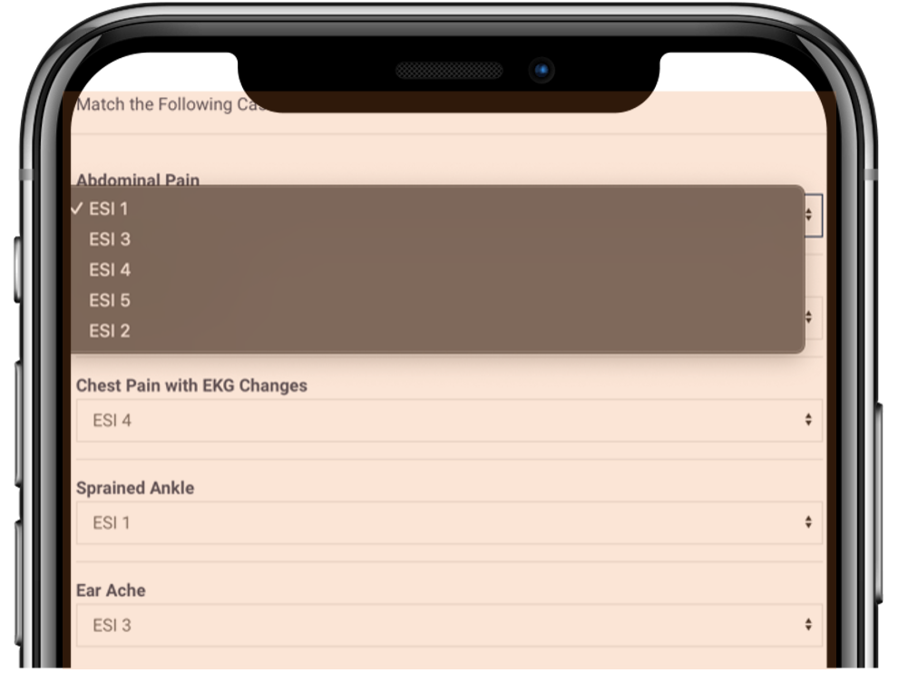 Example Matching Questions